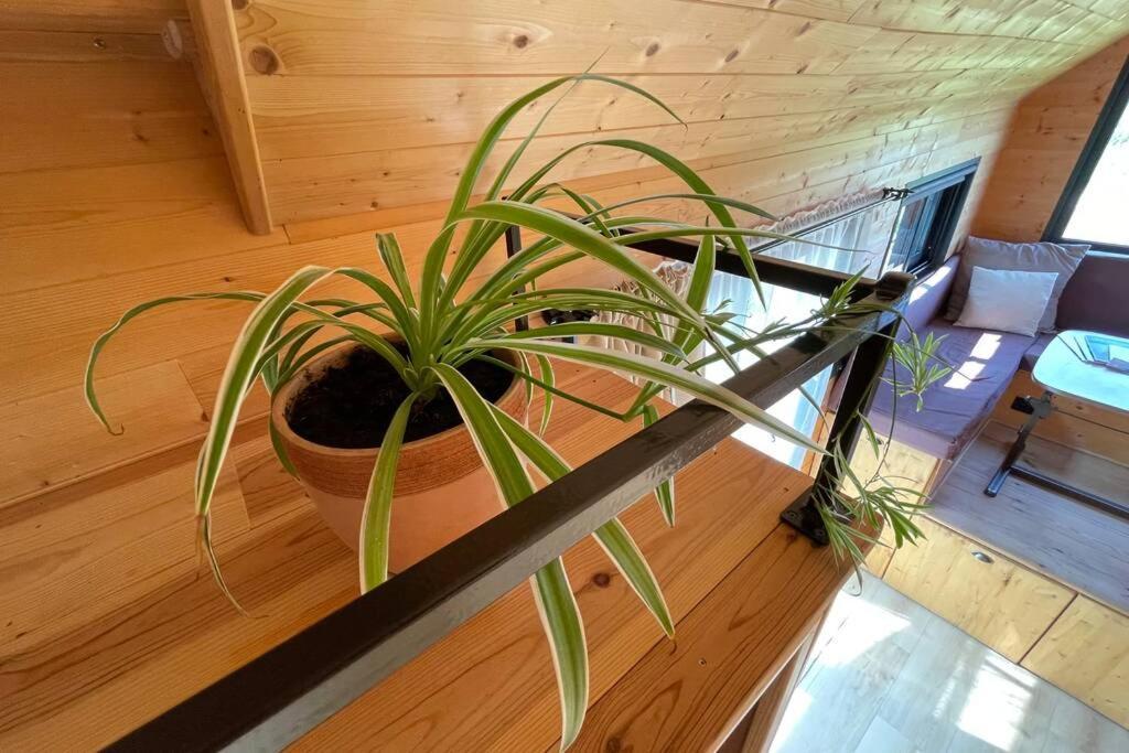 Myinsolite - Tiny-House, Jacuzzi, Brasero, Piscine إج مورت المظهر الخارجي الصورة